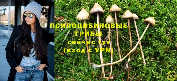 спайс Алексеевка