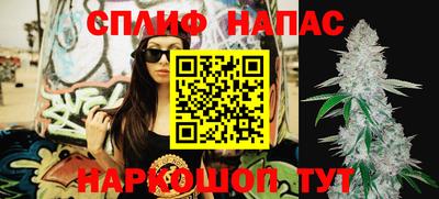 гашик Абакан