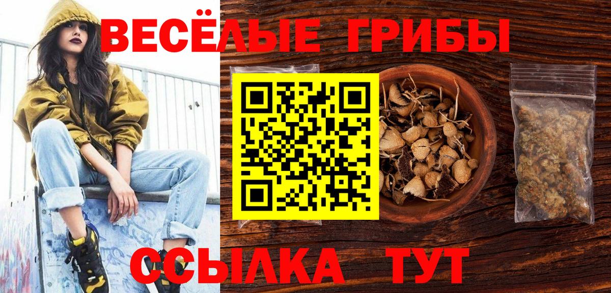 Псилоцибиновые грибы MAGIC MUSHROOMS Анжеро-Судженск