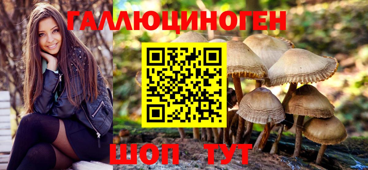 Анжеро-Судженск  Галлюциногенные грибы Cubensis  Вход с VPN 